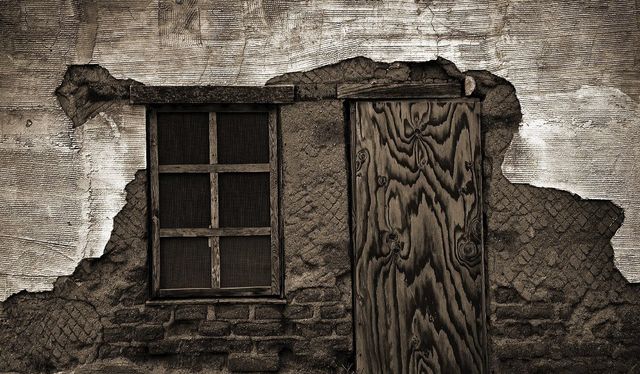 Как избавиться от муравьев-древоточцев?