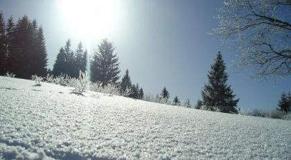 Защита от мороза