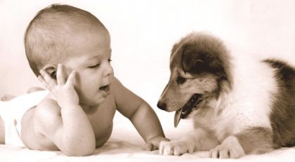 Как представлять людей друг другу?