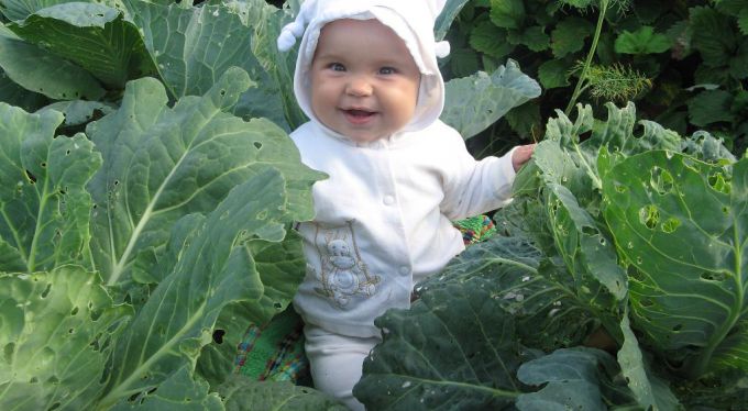 Как объяснить ребенку, откуда берутся дети?