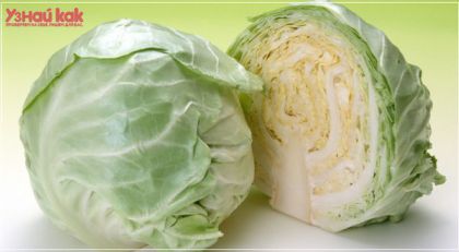 Как выбрать капусту белокочанную?