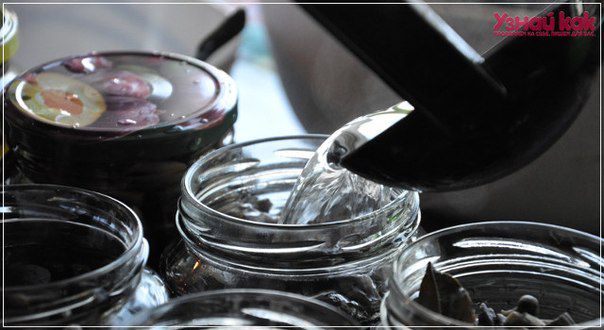 Как мариновать опята?