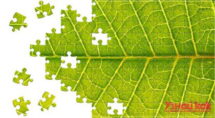 Как собирать пазл?