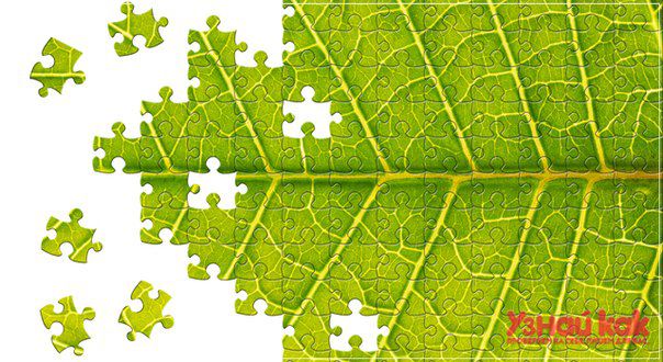 Как собирать пазл?