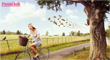 Что делать, если укусила оса?