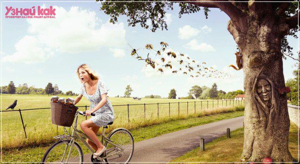 Что делать, если укусила оса?