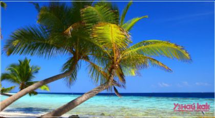 Как выбирать туристическое агентство?