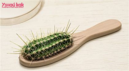 Как выбрать расческу?