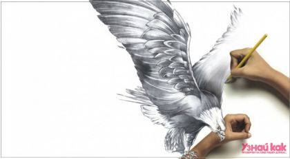 Как научиться рисовать (для начинающих)?