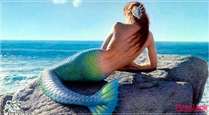 Как стать реальной русалкой?