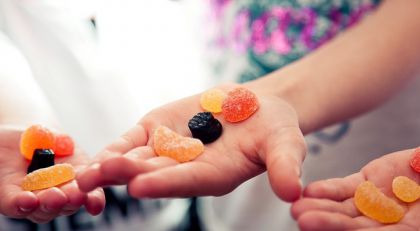  Летний лагерь в России: как выбрать?