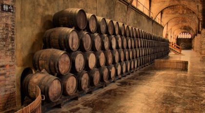 Вода в подвале: как избавиться?