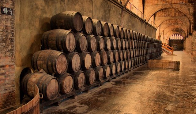 Вода в подвале: как избавиться?